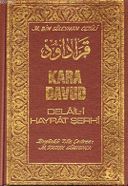 Kara Davud - Delail-i Hayrat Şerhi