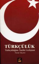 Türkçülük - Türkçülüğün Tarihi Gelişimi