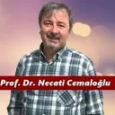 Necati Cemaloğlu