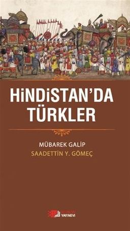 Hindistan'da Türkler