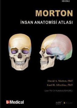 Morton İnsan Anatomisi