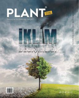 Plant Dergisi, Sayı 39 - 40