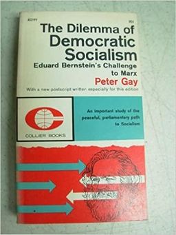 The Dilemma Of Democratic Socialism