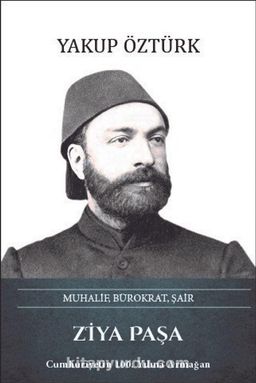 Ziya Paşa Muhalif, Bürokrat, Şair