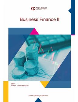Business Finance II
