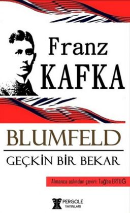 Blumfeld: Geçkin Bir Bekar