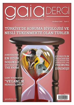 Gaia Dergi Sayı 1
