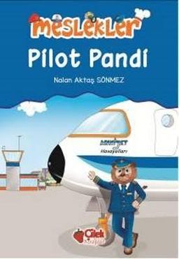 Meslekler - Pilot Pandi
