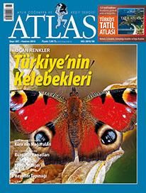 Atlas - Sayı 207