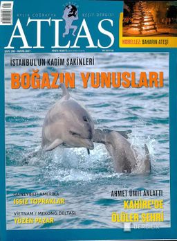 Atlas - Sayı 290