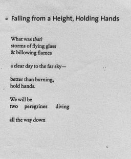 Falling from a Height, Holding Hands
