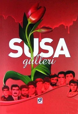 Susa Gülleri