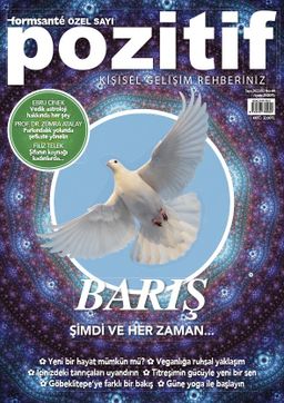 Pozitif Dergisi - No 44 (2022/02)