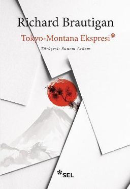 Tokyo-Montana Ekspresi