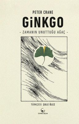 Ginkgo: Zamanın Unuttuğu Ağaç
