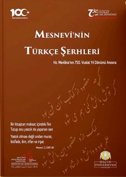 Mesnevî'nin Türkçe Şerhleri