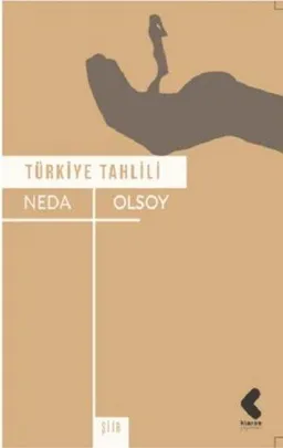 Türkiye Tahlili