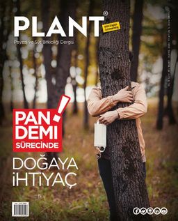 Plant Dergisi Sayı: 38