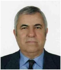 Ahmet Şenkut