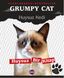 Huysuz Kedi: Huysuz Bir Kitap