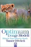 Optimum Denge Modeli