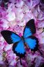 mavi kelebek okurunun profil resmi
