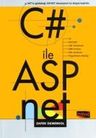C# ile Asp.Net
