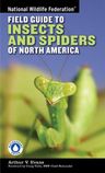 National Wildlife Federation Field Guide to Insects and Spiders Related Species of North America