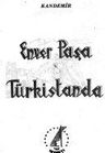 Şehit Enver Paşa Türkistanda