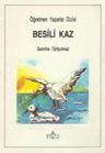 Besili Kaz