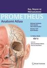 Prometheus Anatomi Atlası 3