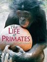 The Life of Primates