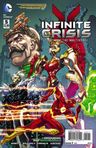 Infinite Crisis: The Fight for the Multiverse Vol 1 #5