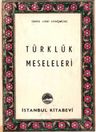 Türklük Meseleleri