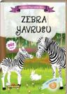 Zebra Yavrusu