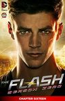 The Flash: Season Zero (2014-2015) #16
