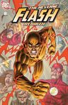 The Flash (2010-2011) #8