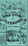 The True History of a Little Raggamuffin