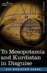To Mesopotamia and Kurdistan in Disguise