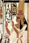 The Nefertari okurunun profil resmi