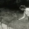 Plath