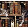 Kedimin Kitapları