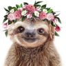 Sloth Reader