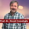 Necati Cemaloğlu